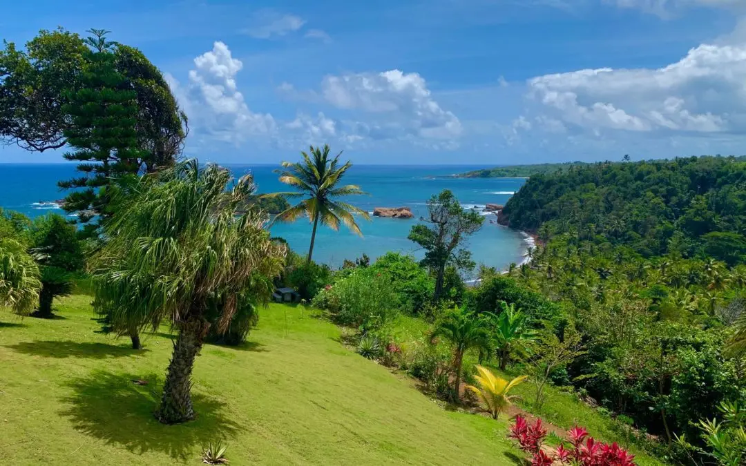 Travel Through Books Dominica: The Nature Island